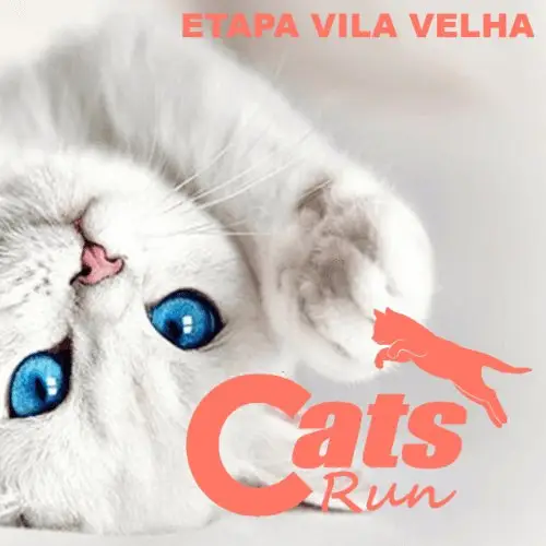 CATS RUN ES 2027 logo