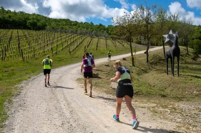 Chianti Ultra Trail by UTMB® - Chianti Wine Run logo