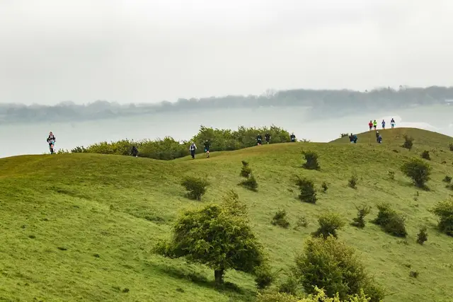 Chiltern Ridge Winter 50K logo