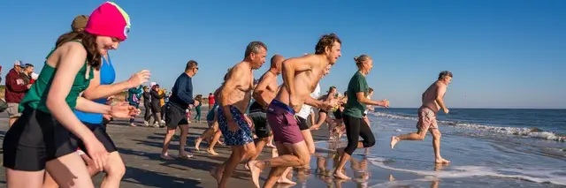 Cold-Stunned Plunge logo