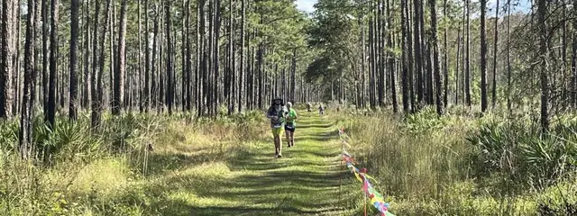 Colt 45 Trail Run logo