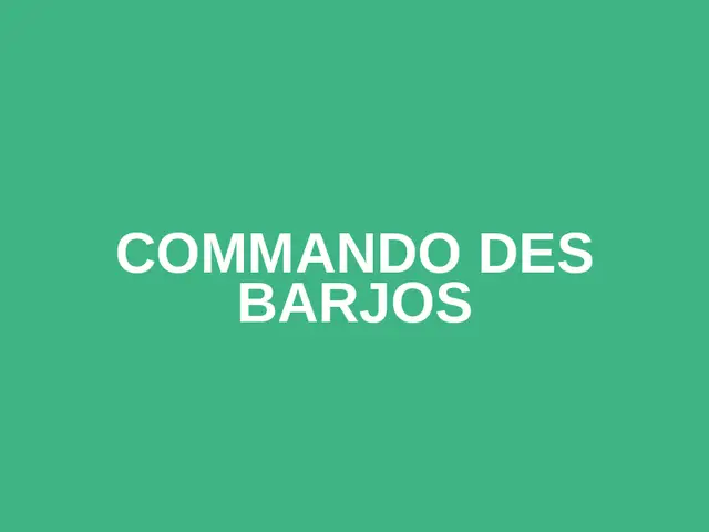 COMMANDO DES  BARJOS logo