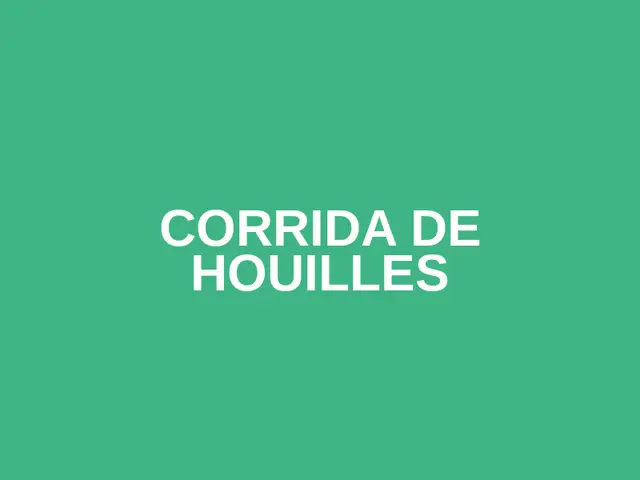 Corrida de Houilles logo