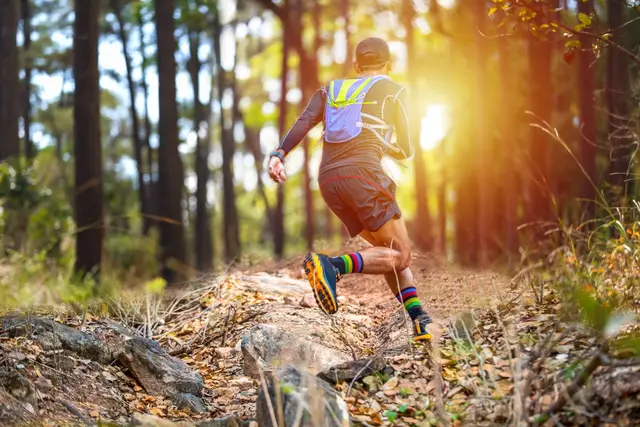 Cross national du 11 Novembre - Trails & Marche logo
