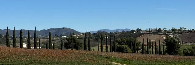Cycle Through the Vineyards logo