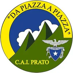 Da Piazza a Piazza - XL Edizione logo