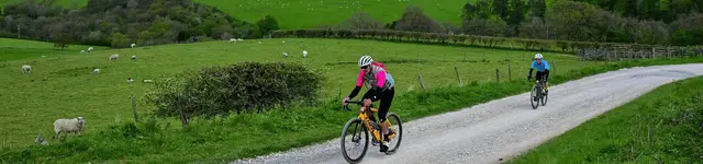 DALBY DEVIL GRAVEL RIDES  logo