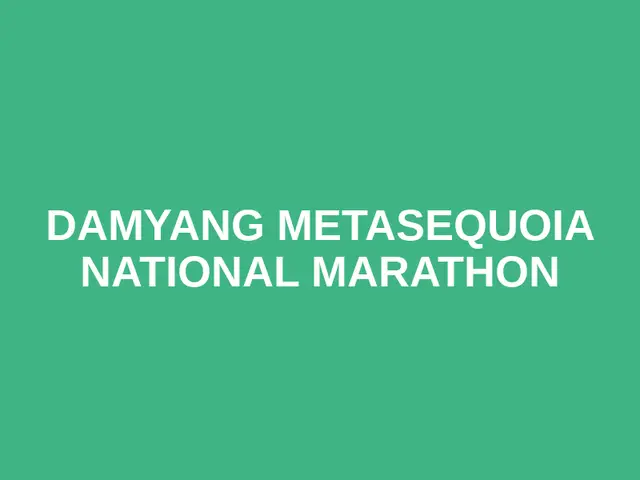 Damyang Metasequoia National Marathon logo