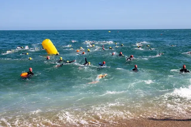 Dartmouth Triathlon logo