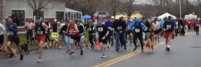 Dash for Dogs 5k Run or Walk logo