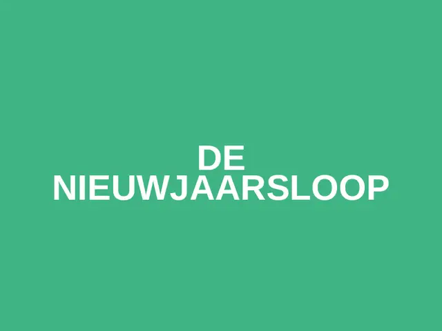 De Nieuwjaarsloop logo
