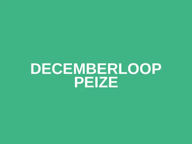Decemberloop Peize logo