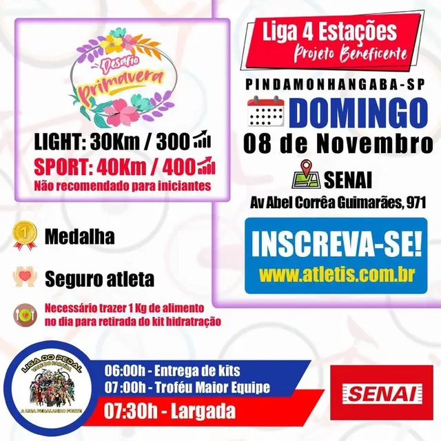 DESAFIO PRIMAVERA logo