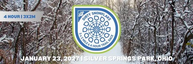 Dirty Snowflake logo