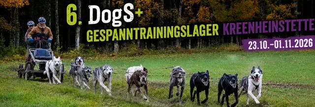 DogS+ Trainingslager Gespanne 2026 logo