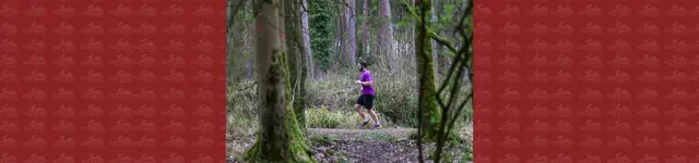 Dormouse Challenge logo