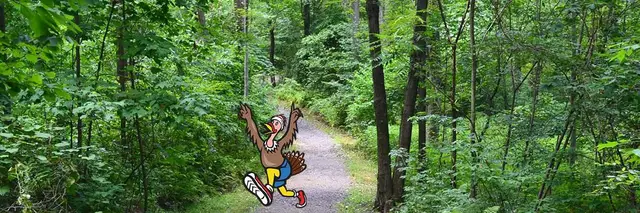 Dowagiac All Trail Turkey Trot logo