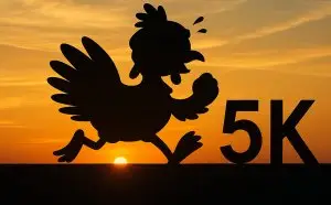 Duck Key Turkey Trot 5k Run/Walk logo