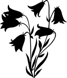 Dukeries 30 / 40 logo