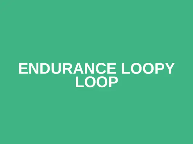 Endurance Loopy Loop logo