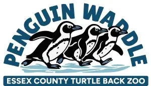 Essex County Turtle Back Zoo Penguin Waddle logo