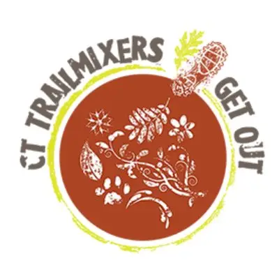 Fall Fling 400 logo