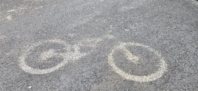 Ferndale Trail Work Day logo
