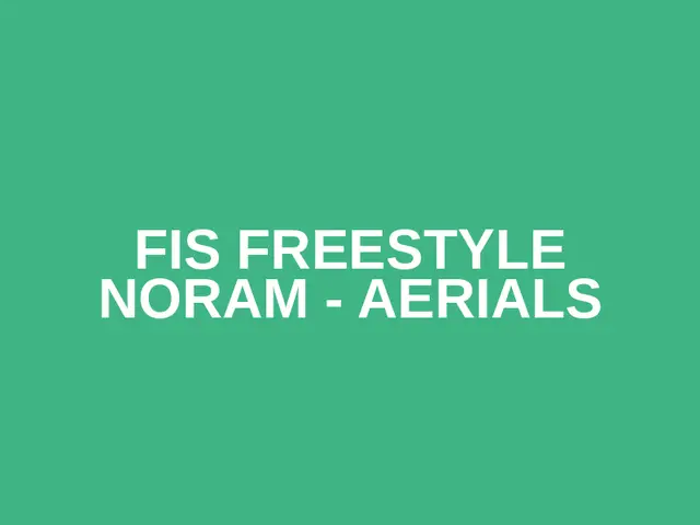 FIS Freestyle NorAm - Aerials logo