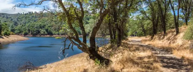 Folsom Lake Sweetwater Trail Run logo
