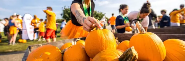 Gourdy's Pumpkin Run: Cincinnati logo