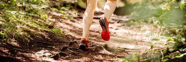 Great Allegheny Ohiopyle Marathon Race Festival: Marathon, Half Marathon, 10K and 5K logo