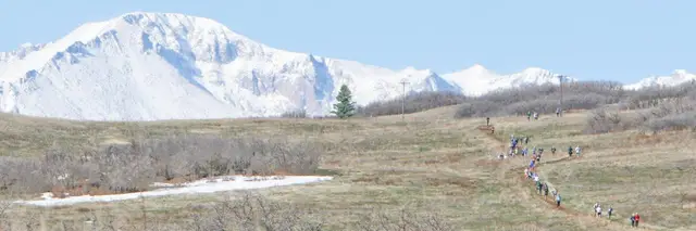 Greenland Trail Races logo