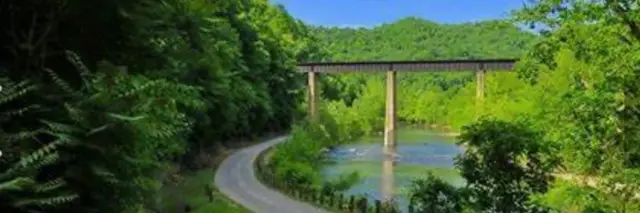 Guyandotte River Run logo