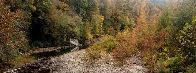 Hare Mountain 100 logo