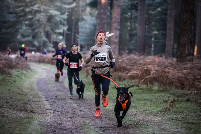 High Lodge Canicross 5k Series - Race 1 logo
