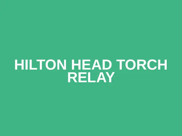 Hilton Head Torch Relay logo