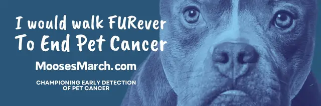 I would walk FURever To End Pet Cancer. A Fun Run/Walk for Moose's March logo