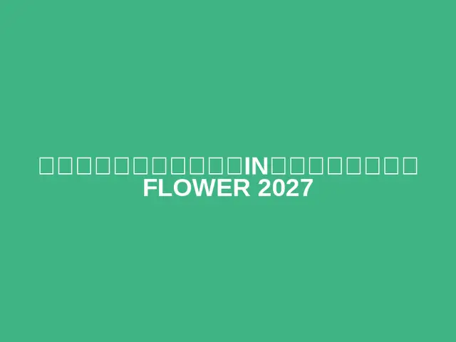 Marathon Festival in Showa Kinen National Park FLOWER 2027 (マラソンフェスティバルin国営昭和記念公園 FLOWER 2027) logo