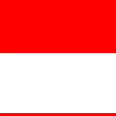 Indonesia Bali Marathon 3/6/2027 logo