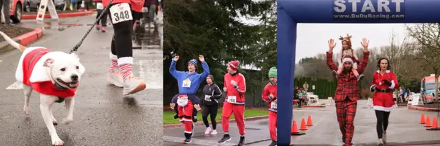 K9 Candy Cane 5K Fun Run logo
