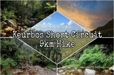Keurbos Short Circuit 9m Hike logo