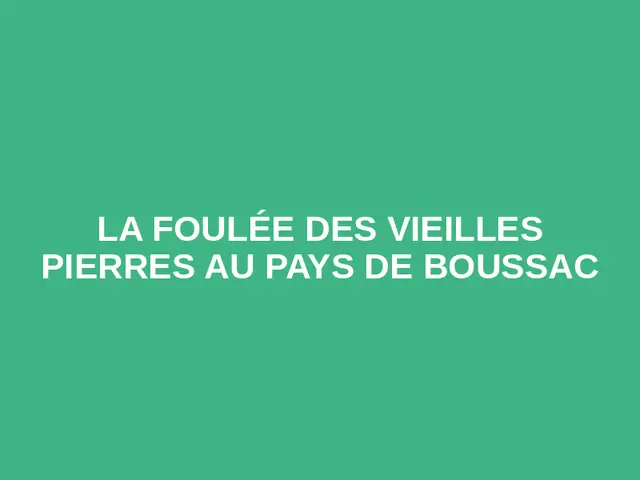 La Foulée des Vieilles Pierres au pays de Boussac logo