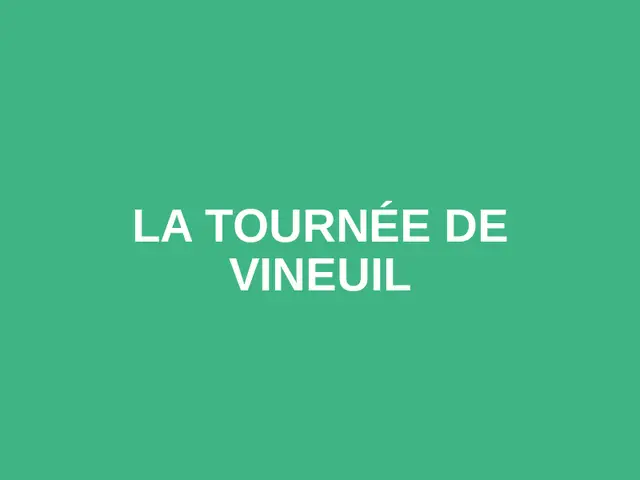 La Tournée de Vineuil logo