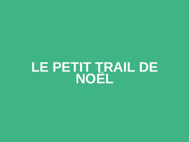 Le Petit Trail de Noël logo