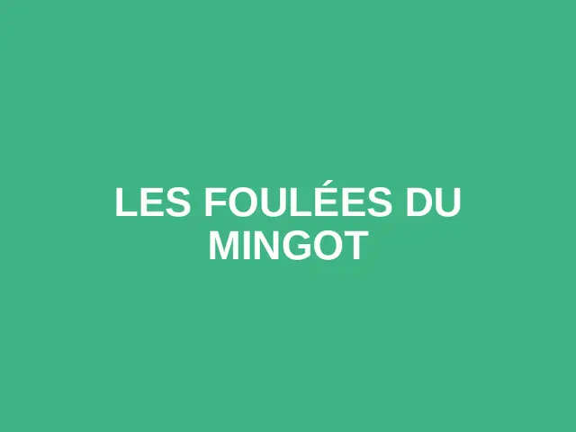 Les foulées du mingot logo
