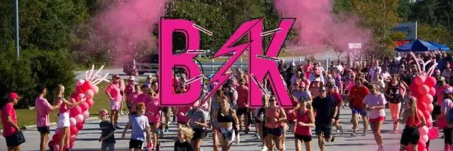 Let's Make Pink Just a Color logo