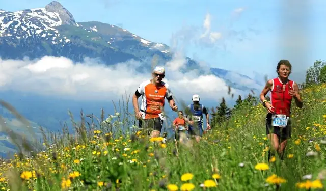 LGT Alpin Marathon logo