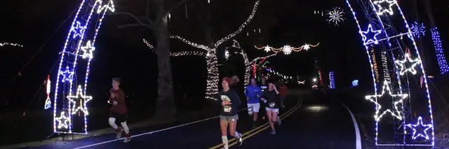 Lights in the Parkway 5K logo