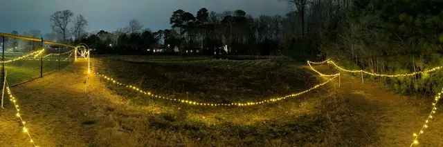 Lost in the Woods 5k (for St. Jude Children's Research Hospital) logo