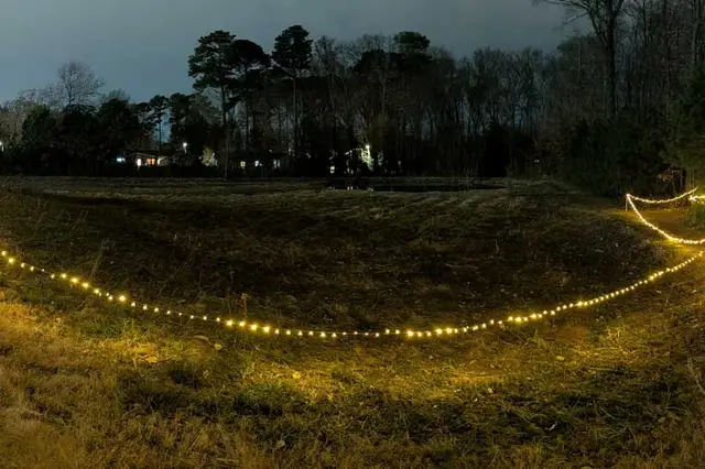 Lost in the Woods 5k (for St. Jude Children's Research Hospital) logo